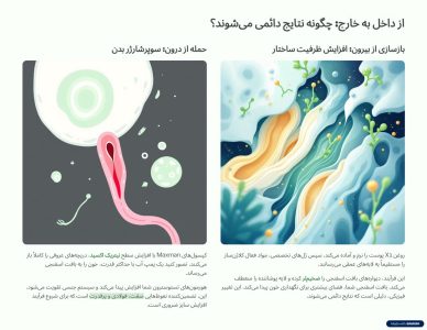 دوره افزایش سایز و حجم آلت تناسلی VIP
