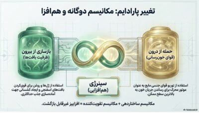 دوره افزایش سایز و حجم آلت تناسلی VIP