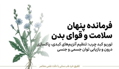 عصاره گیاهی توربو کبد چرب | کمک به پاکسازی کبد و تنظیم آنزیمهای کبدی