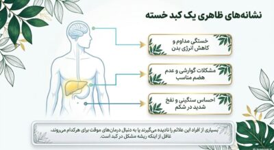 عصاره گیاهی توربو کبد چرب | کمک به پاکسازی کبد و تنظیم آنزیمهای کبدی