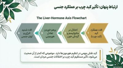 عصاره گیاهی توربو کبد چرب | کمک به پاکسازی کبد و تنظیم آنزیمهای کبدی