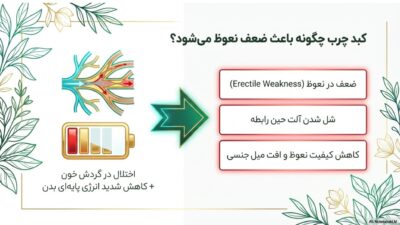 عصاره گیاهی توربو کبد چرب | کمک به پاکسازی کبد و تنظیم آنزیمهای کبدی