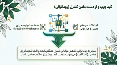 عصاره گیاهی توربو کبد چرب | کمک به پاکسازی کبد و تنظیم آنزیمهای کبدی