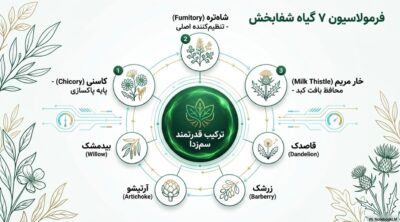 عصاره گیاهی توربو کبد چرب | کمک به پاکسازی کبد و تنظیم آنزیمهای کبدی
