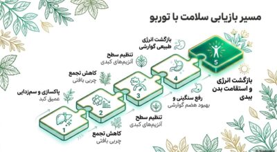 عصاره گیاهی توربو کبد چرب | کمک به پاکسازی کبد و تنظیم آنزیمهای کبدی