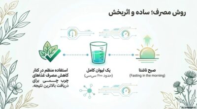 عصاره گیاهی توربو کبد چرب | کمک به پاکسازی کبد و تنظیم آنزیمهای کبدی