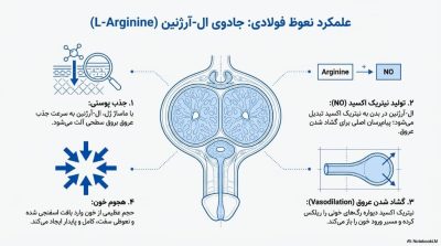 کرمهای تقویت نعوظ بررسی محصولات