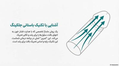 انقلاب در افزایش سایز: بررسی علمی قوی‌ترین ها