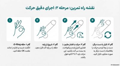 انقلاب در افزایش سایز: بررسی علمی قوی‌ترین ها