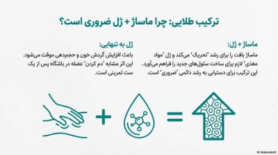 انقلاب در افزایش سایز: بررسی علمی قوی‌ترین ها