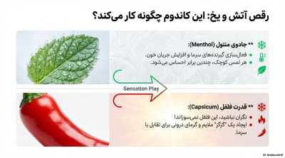 کاندوم ایکس دریم مدل نعنا فلفلی Peppermint