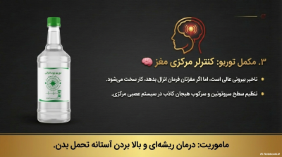 پکیج رابطه بیوقفه طولانیترین شب زندگی