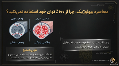 پکیج VIP "قدرت و حجم آقایان