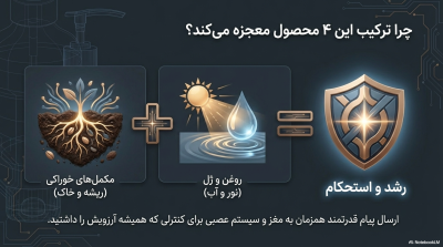 پکیج مانا