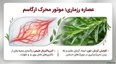ژل لوبریکانت و ضد درد پولونکس Polonex S2 (مخصوص مقاربت دردناک)