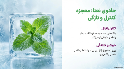 ژل روانکننده و خنککننده کلایمکس مدل Aloe Vera & Mint