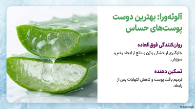 ژل روانکننده و خنککننده کلایمکس مدل Aloe Vera & Mint