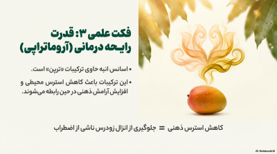 اسپری تاخیری لارگو (Largo) با رایحه انبه – حجم اقتصادی ۶۵ میلیلیتر