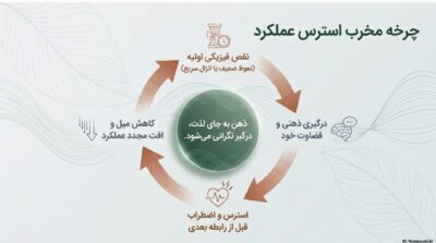 پکیج بهبود نعوظ و افزایش زمان رابطه | انفجار سفتی و کنترل مردانه | قسطی