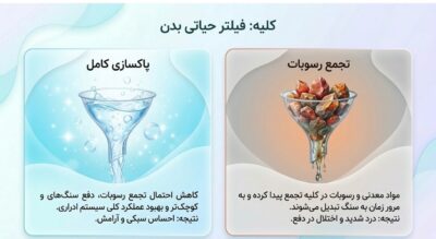توربو سنگ شکن کلیه | کمک به دفع سریع سنگ کلیه و پاکسازی مجاری ادراری