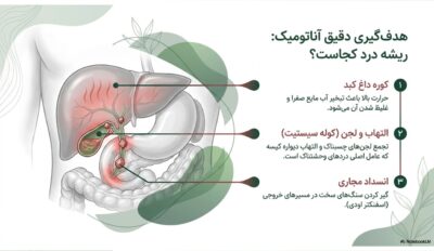 توربو پاکسازی صفرا | دفع قطعی سنگ صفرا و پایان دردهای خنجری | خرید قسطی