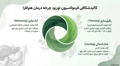 توربو پاکسازی صفرا | دفع قطعی سنگ صفرا و پایان دردهای خنجری | خرید قسطی