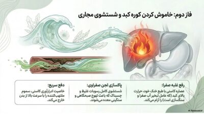 توربو پاکسازی صفرا | دفع قطعی سنگ صفرا و پایان دردهای خنجری | خرید قسطی