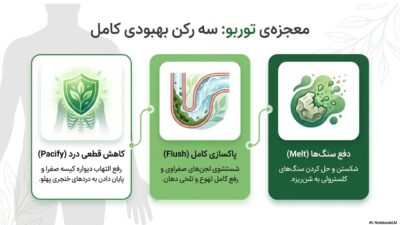 توربو پاکسازی صفرا | دفع قطعی سنگ صفرا و پایان دردهای خنجری | خرید قسطی